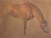 Sir edwin landseer,ra Study of a Horse (mk46) painting